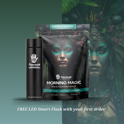 Morning Magic Decaf Mushroom Coffee Alternative - Lions Mane and more Ancient Extracts