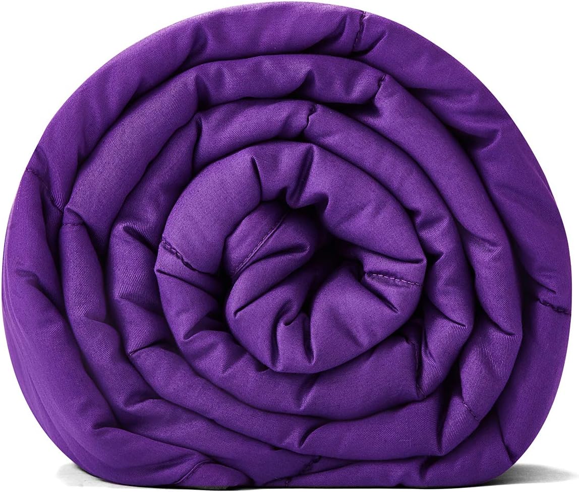 TONGDADA Minky Weighted Blanket | 60''x80'',10lbs | Cozy and Soft Minky Weighted Throw Blanket | Luxury Velvet with Premium Glass Beads | White Minky
