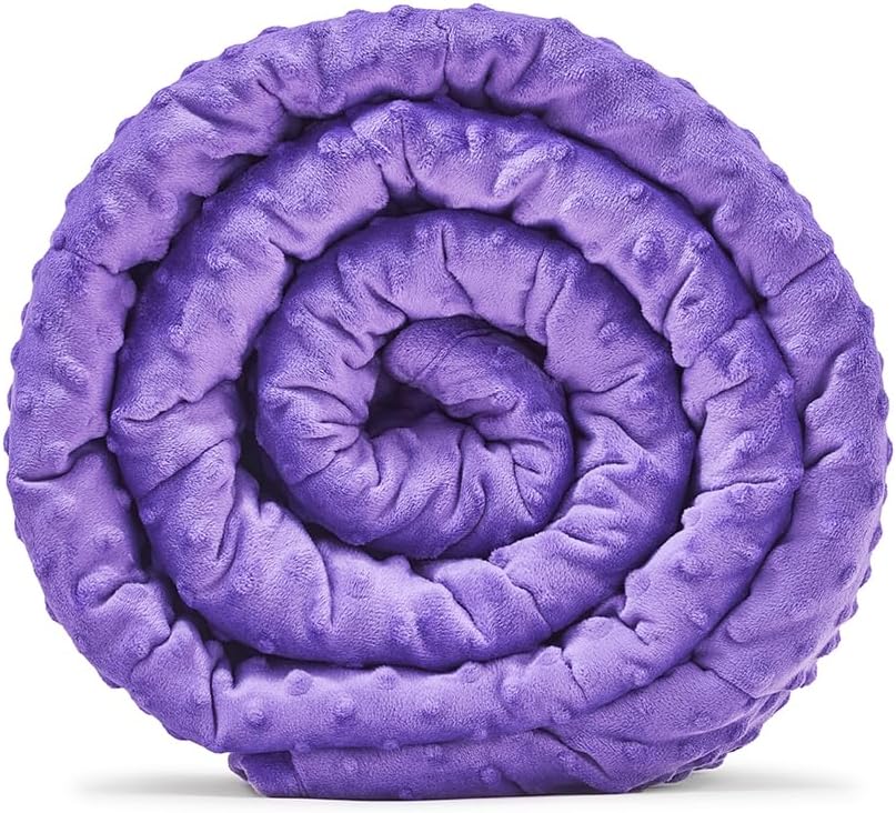 TONGDADA Minky Weighted Blanket | 60''x80'',10lbs | Cozy and Soft Minky Weighted Throw Blanket | Luxury Velvet with Premium Glass Beads | White Minky